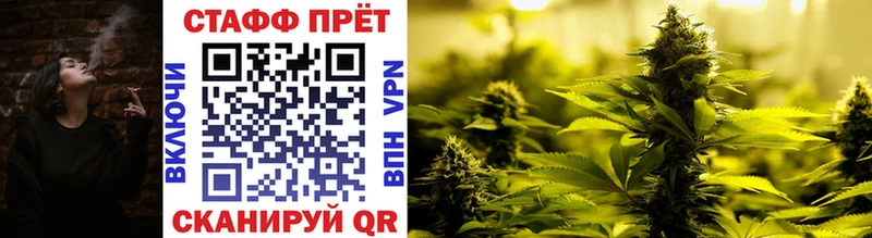 Как найти закладки Павловская Cocaine Alpha PVP ГАШ Меф мяу мяу