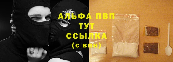 индика Алексин