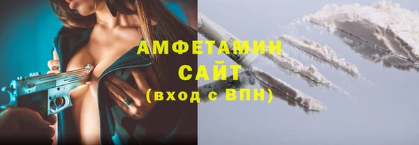 индика Алексин