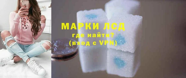 индика Алексин
