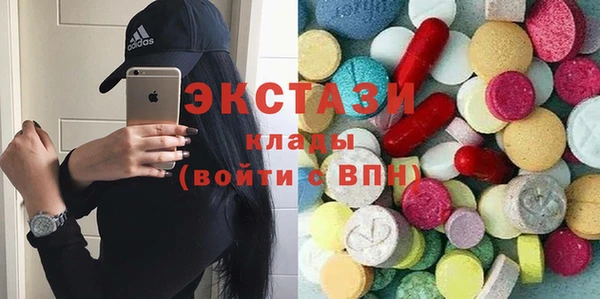 индика Алексин