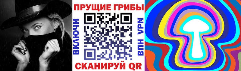 Галлюциногенные грибы прущие грибы  Павловская 